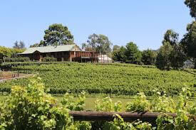 Winery
